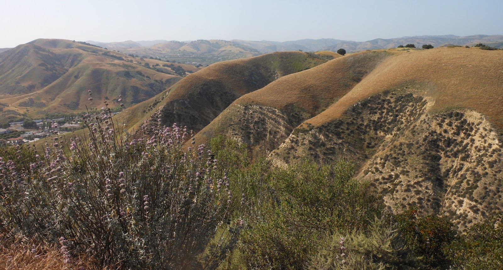 1000 Hikes in 1000 Days Day 556 Bark Park New Millennium Loop Trail