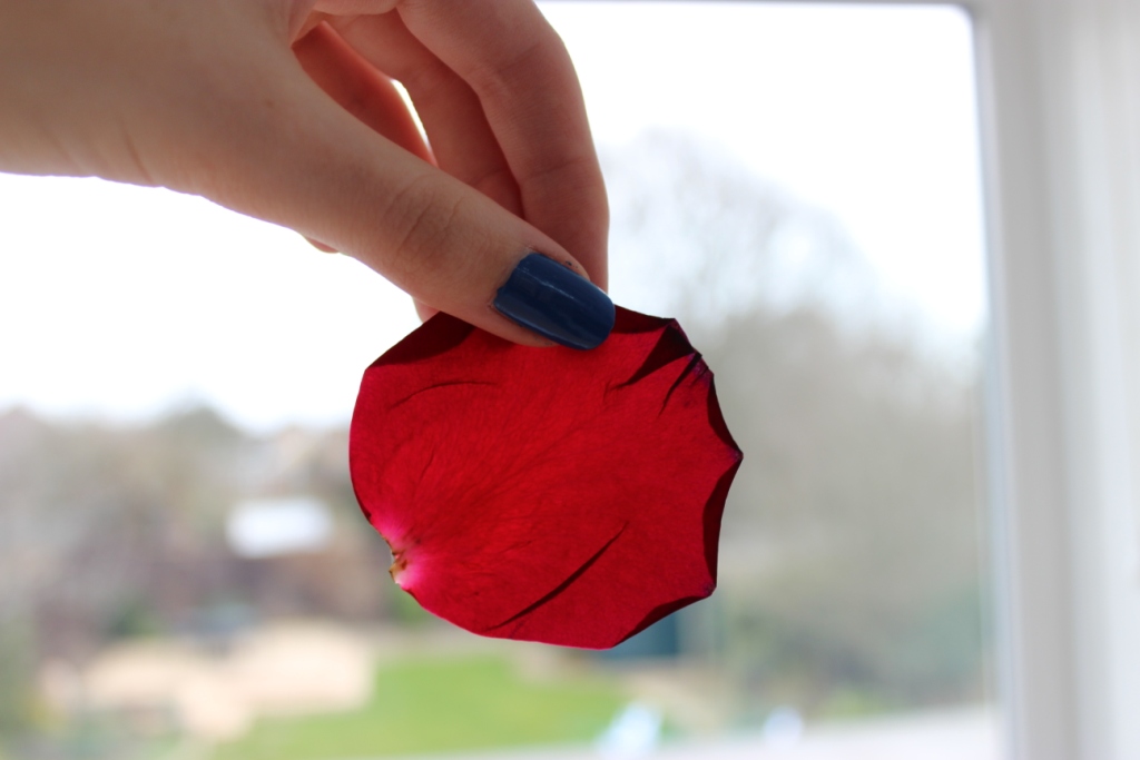 floral and feather Petal pressing a practise