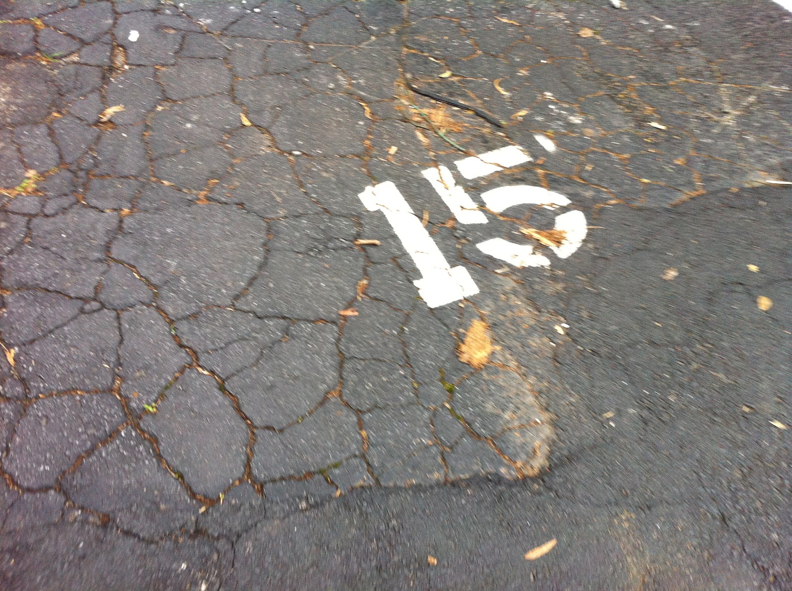 Fifteen free parking lot number picture.