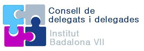 Consell de delegats i delegades (Institut Badalona VII)