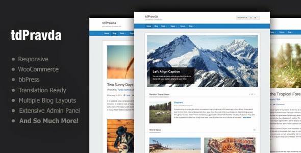 WordPress theme with bbPress and WooCommerce plugins