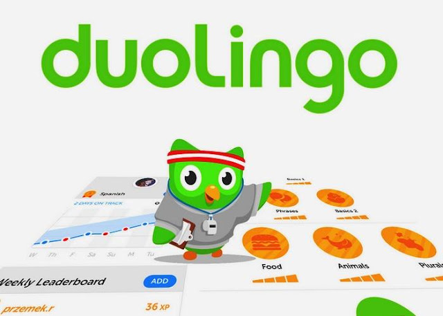 Duolingo Aplicaci N Para Aprender Ingl S