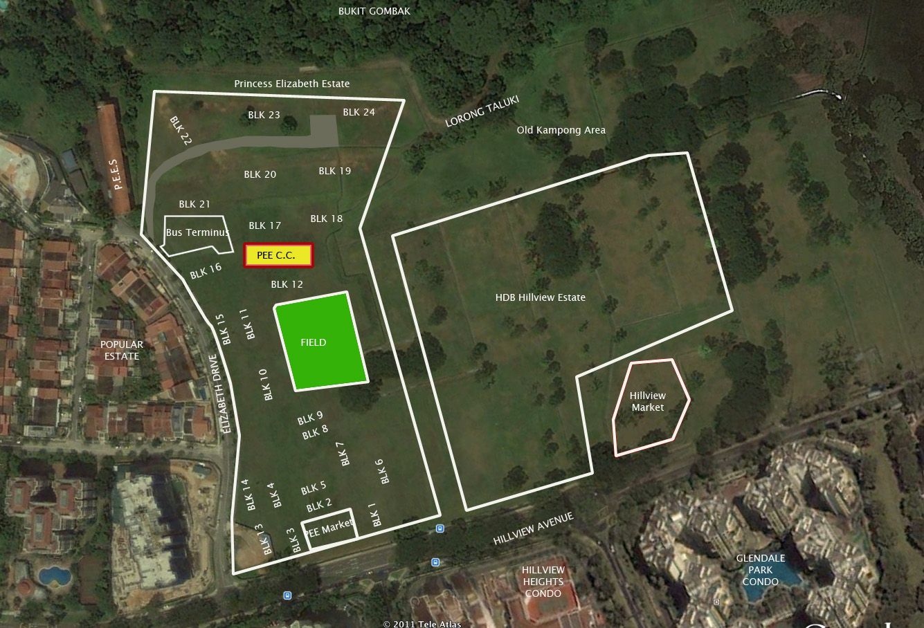 Princess Elizabeth Estate, Hillview Locating Princess Elizabeth Estate