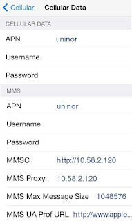 Uninor GPRS Settings for iPhone 4S,5,6 / iPad