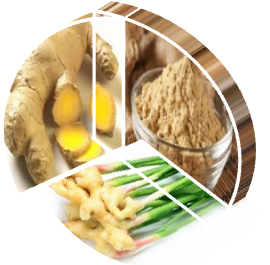 Gengembre gingembre-santé-soin-naturel-plante-a-l-épice-cuisine-problème-préparer-
