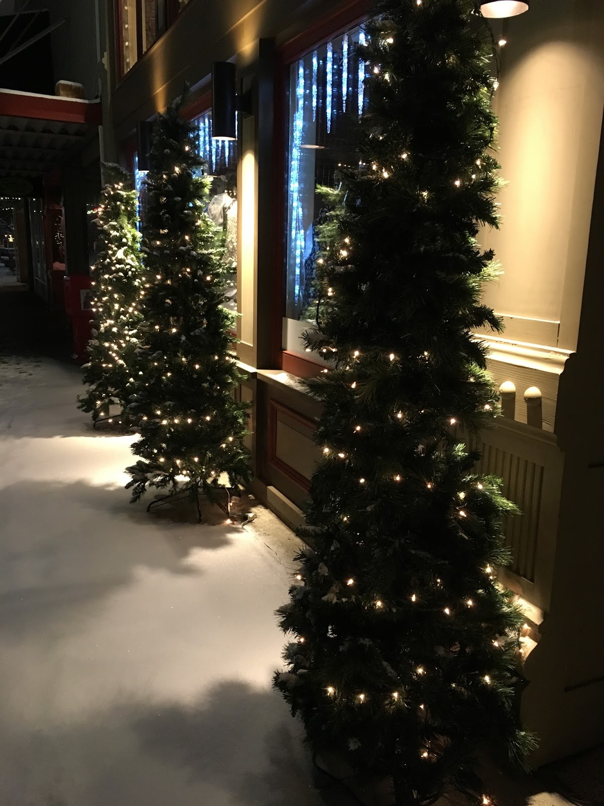 WALLA WALLA DAILY PHOTO As Seen By Susan HOLIDAY LIGHTSPart 2