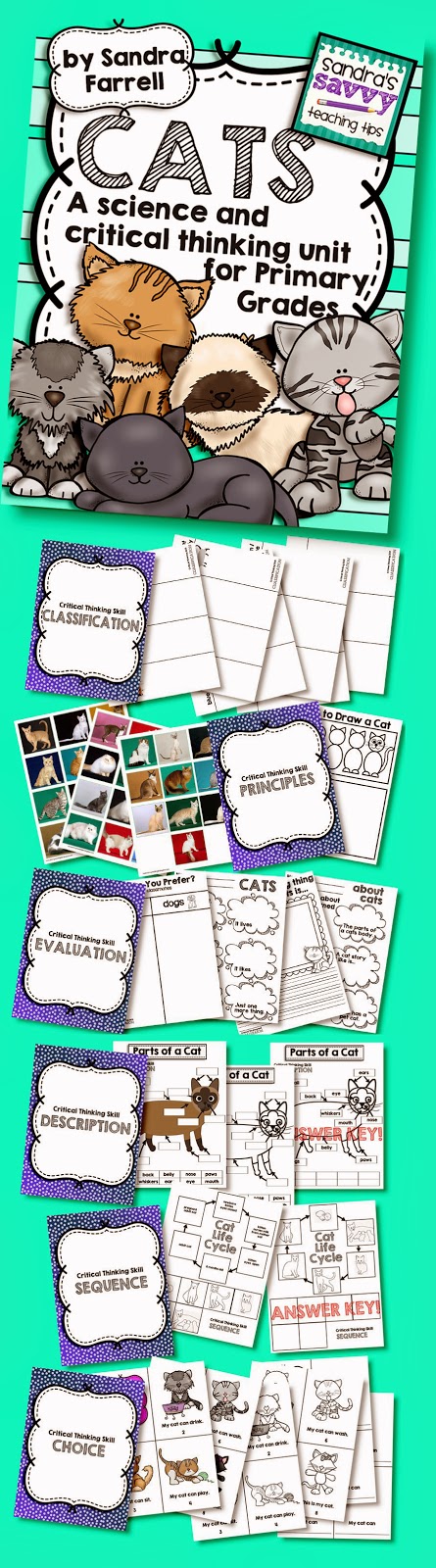 activities to develop critical thinking skills activities to develop critical thinking skills
