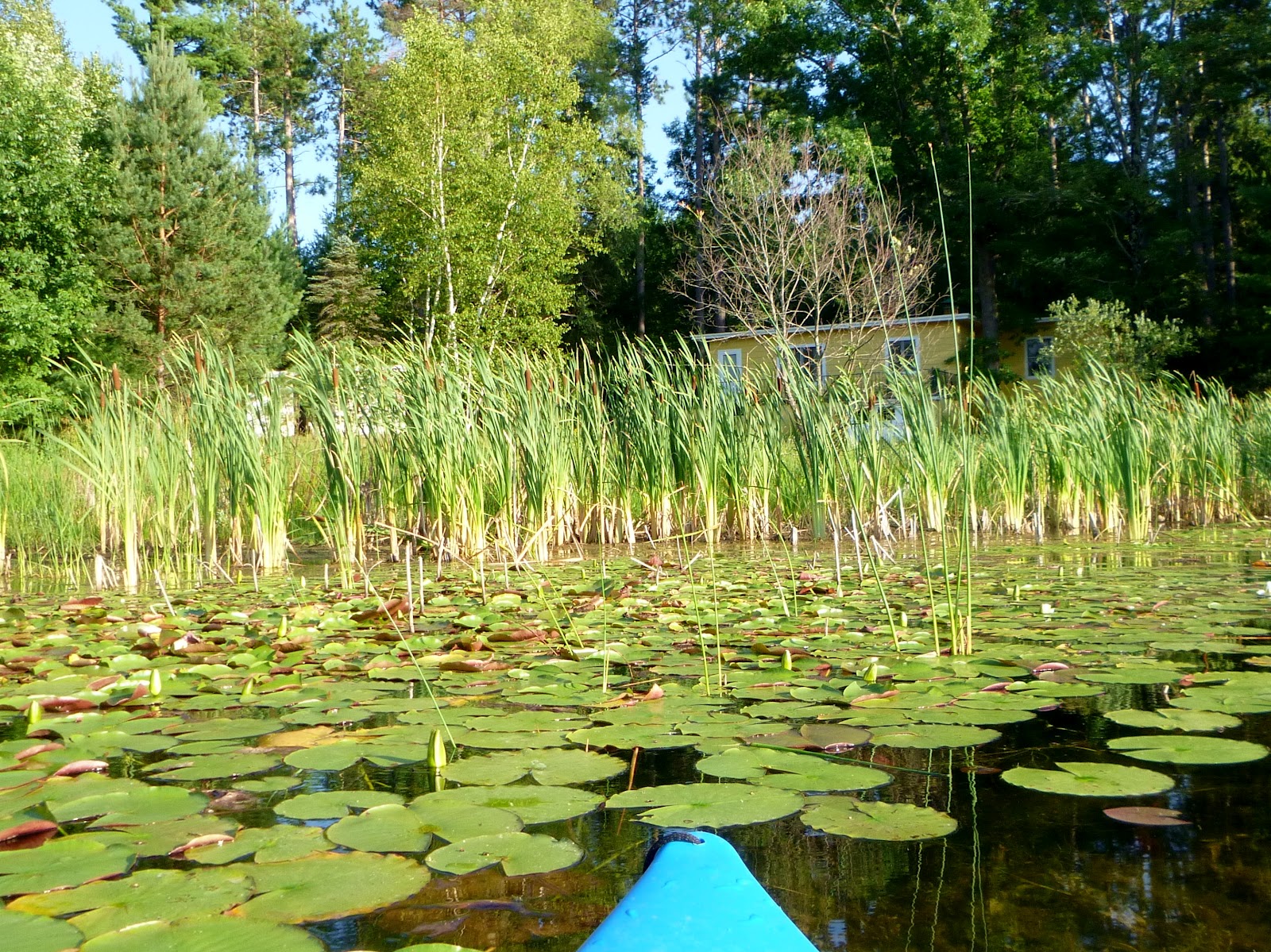 Kayaking Waupaca Area Waters Kayak Trip 43 Kusel Lake 72112