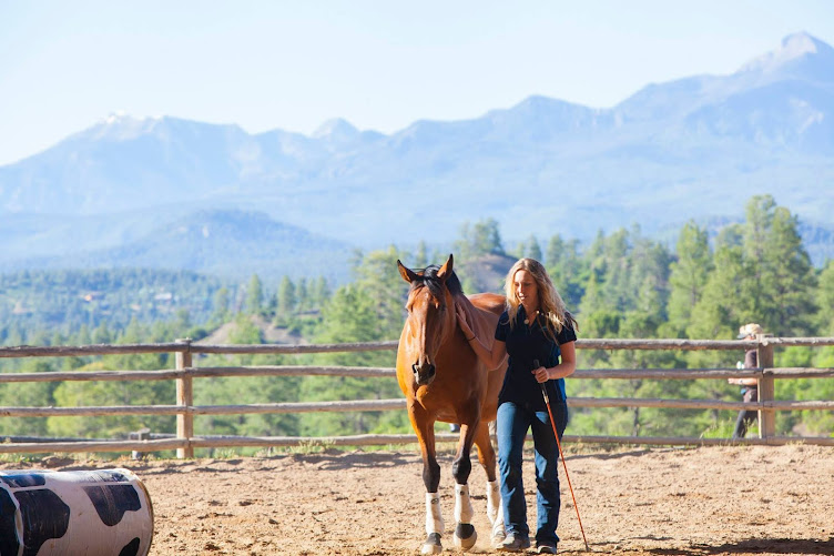 Samantha Thorning Horsemanship