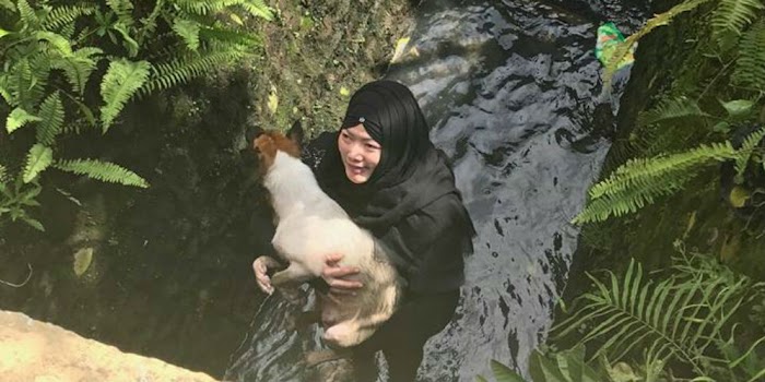 Viral, Setelah Wanita Berhijab Ini Lakukan Aksi Terpuji Tanpa Takut Selamatkan Anjing Yang Terjebak Di Parit Sedalam 3 Meter