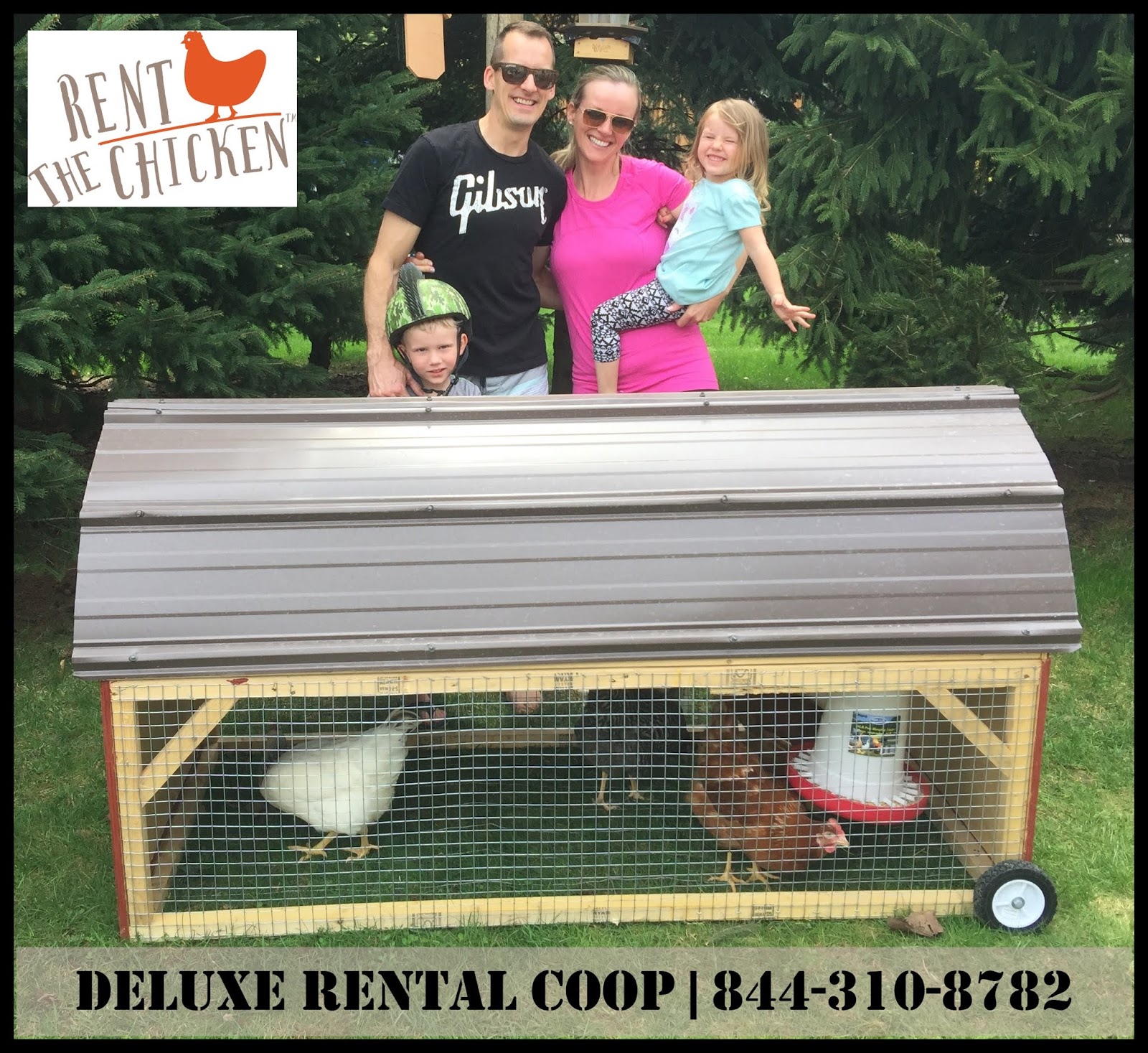 Rent The Chicken Halifax / HRM, Nova Scotia