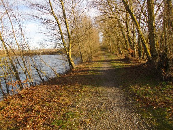 Sud-ouest Toulousain Randonnées: Carbonne Tour du lac de Barbis