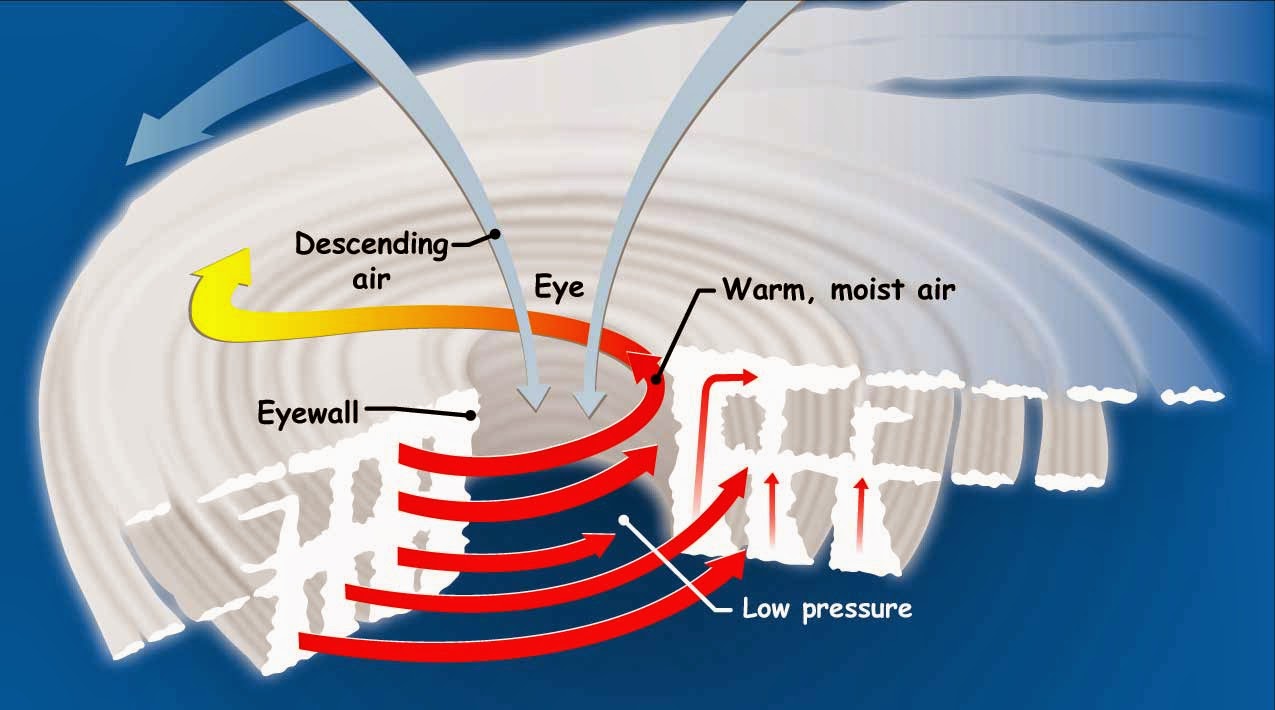 Cross Section Of A Hurricane Diagram