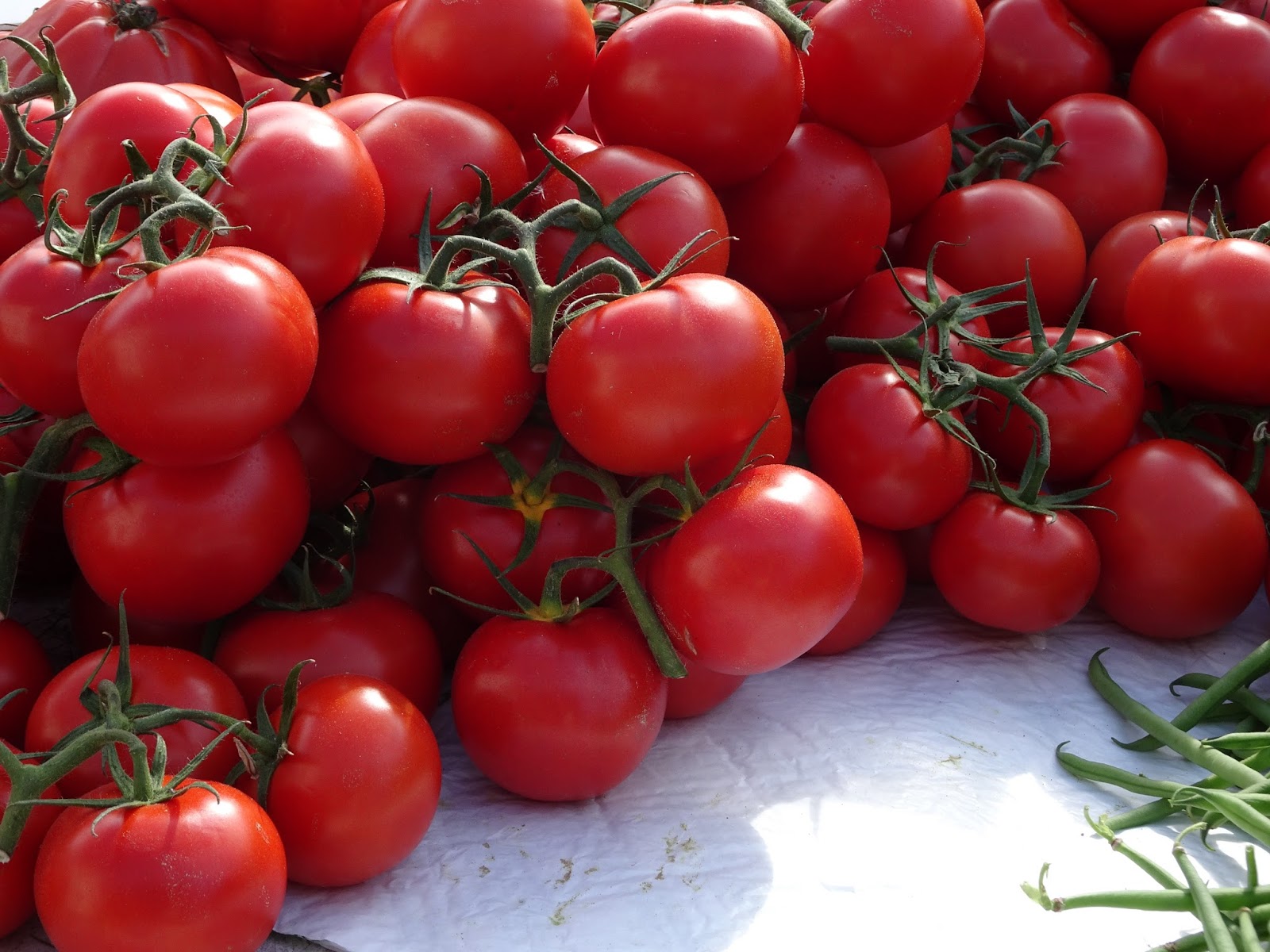 The French Tangerine moelan sur mer