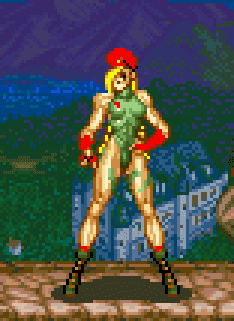 VGJUNK: SOME ANIMATION FRAMES FROM SUPER STREET FIGHTER 2 (SNES)