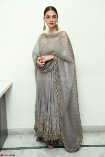 Aditi Rao Hydari looks Beautiful in Sleeveless Backless Salwar Suit 003