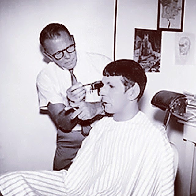 Spock Leonard Nimoy hair randommusings.filminspector.com