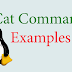 Một số ví dụ cat command line trên Linux