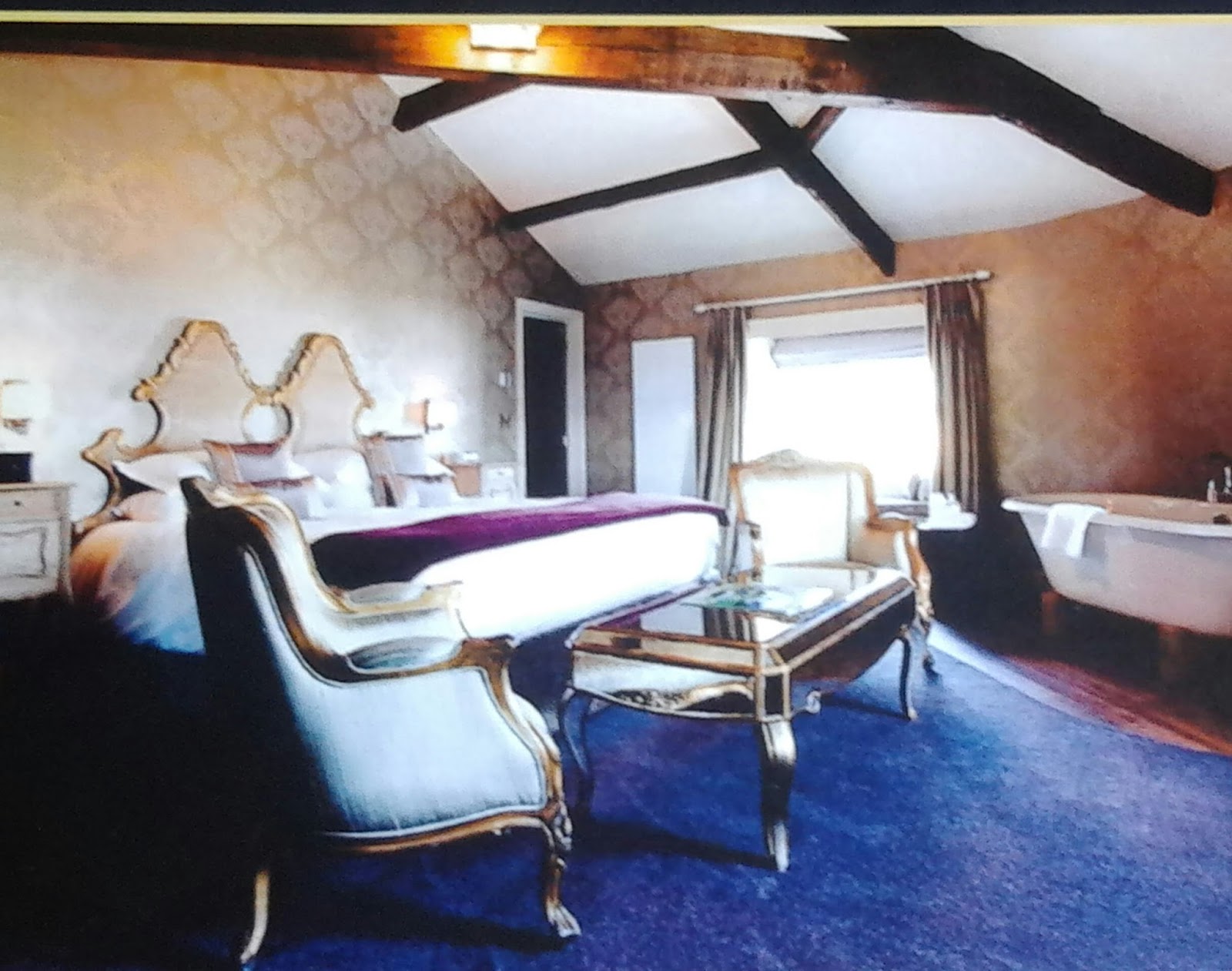 Y Hotel Rooms Y Hotel Rooms