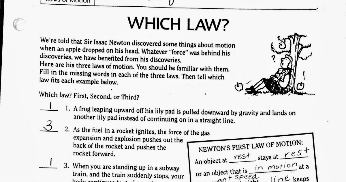 Miss Klein's Science Blog: Newton's Laws Answers