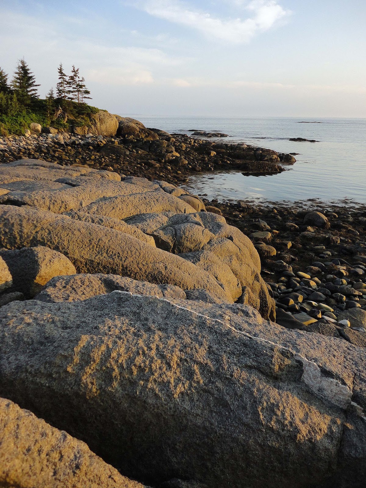 Vinalhaven Sightings