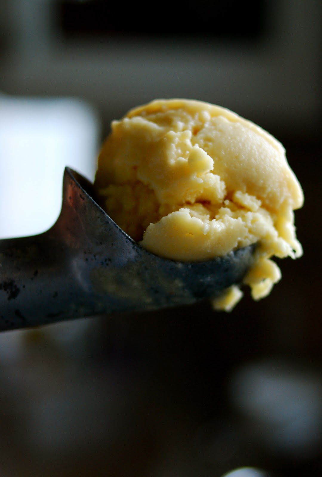 You are what you eat! Camel milk ice cream?!