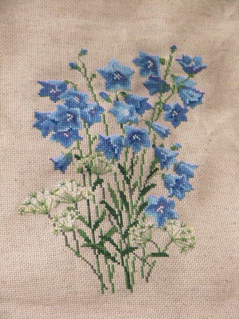 little curious bird: Васильки, васильки, колокольчики!!!