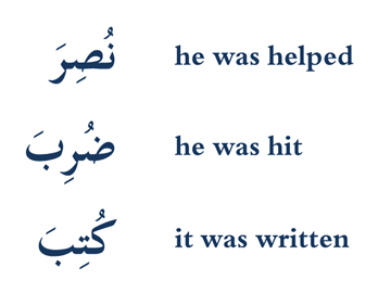 Algebra visual data 6