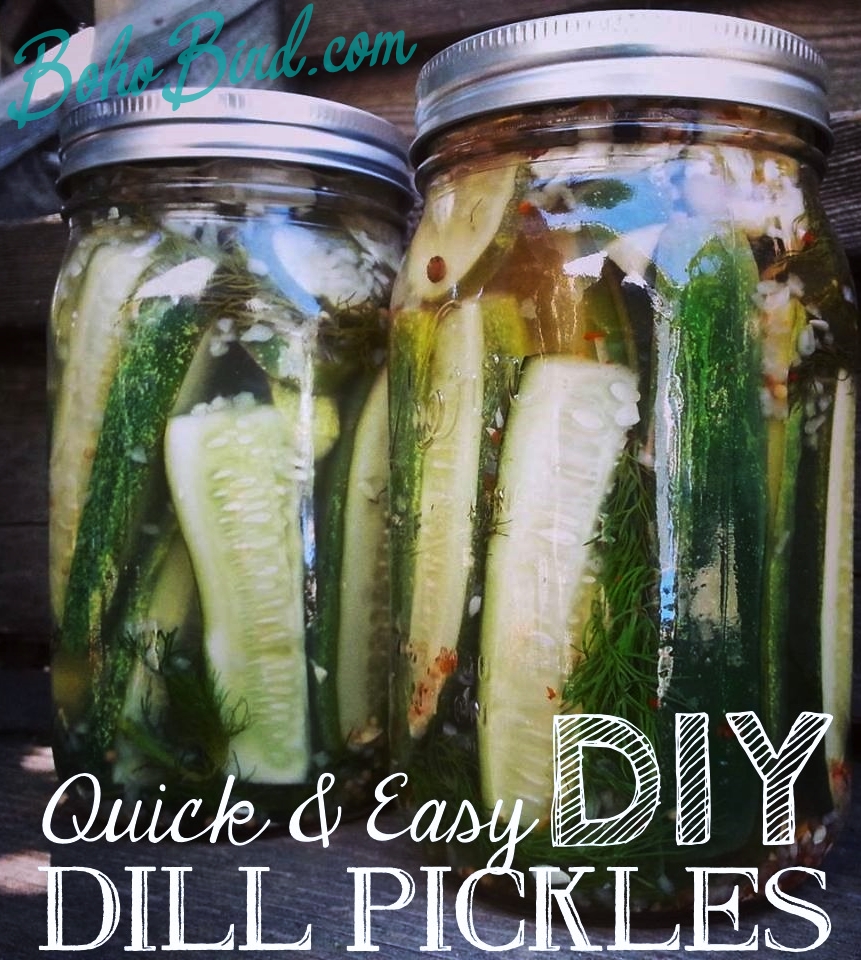 The Boho Bird Easy Homemade Dill Pickles