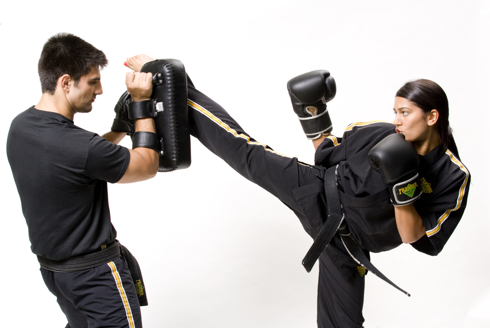 Art of Fighting A Career in the Martial Arts From Student to Instructor
