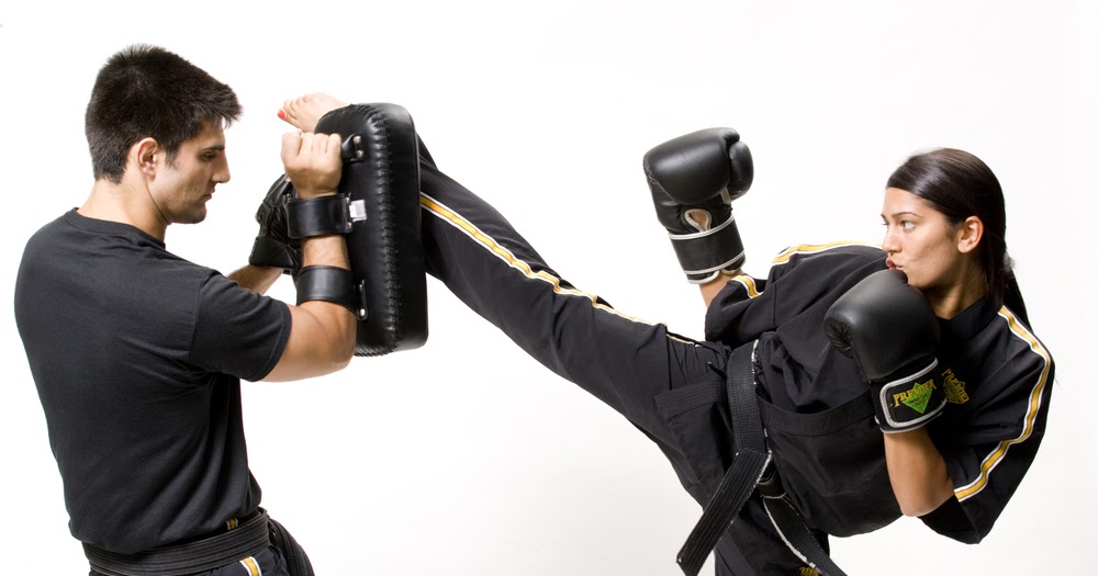 Art of Fighting A Career in the Martial Arts From Student to Instructor