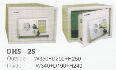 electronic safe dhs 25