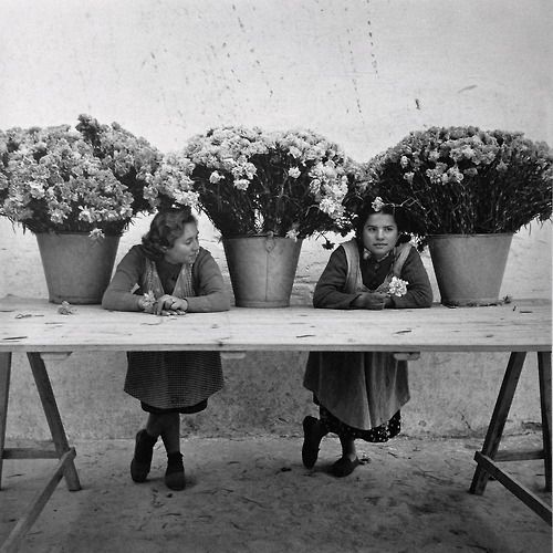 francesc catala roca floristas de la rambla barcelona 1950
