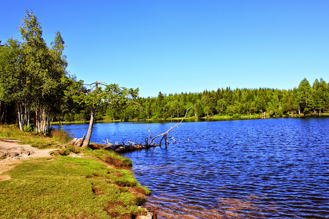 Norwegii ciąg dalszy