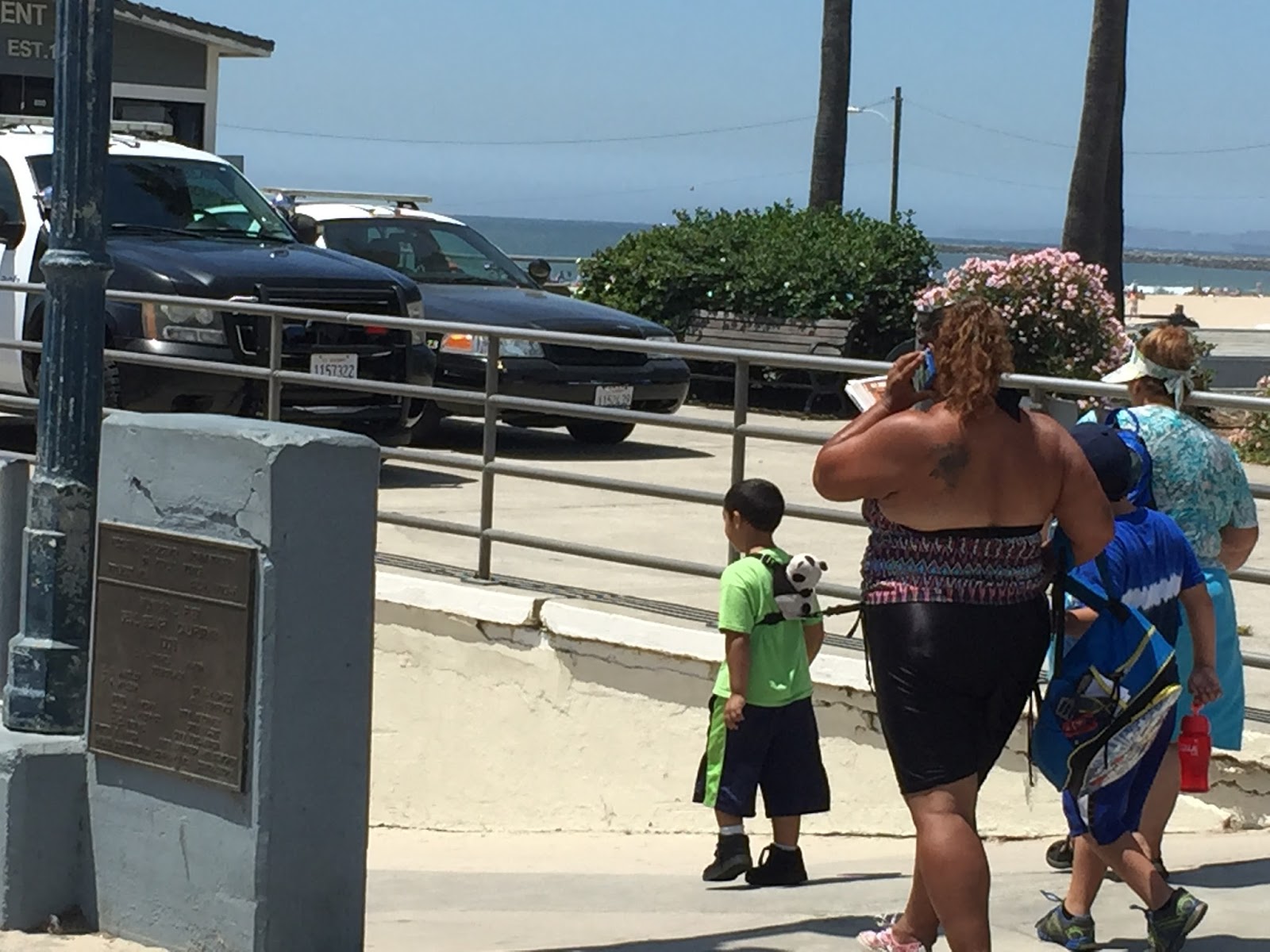 Veri's American Dream: Esskultur und elektrische Einkaufswagen