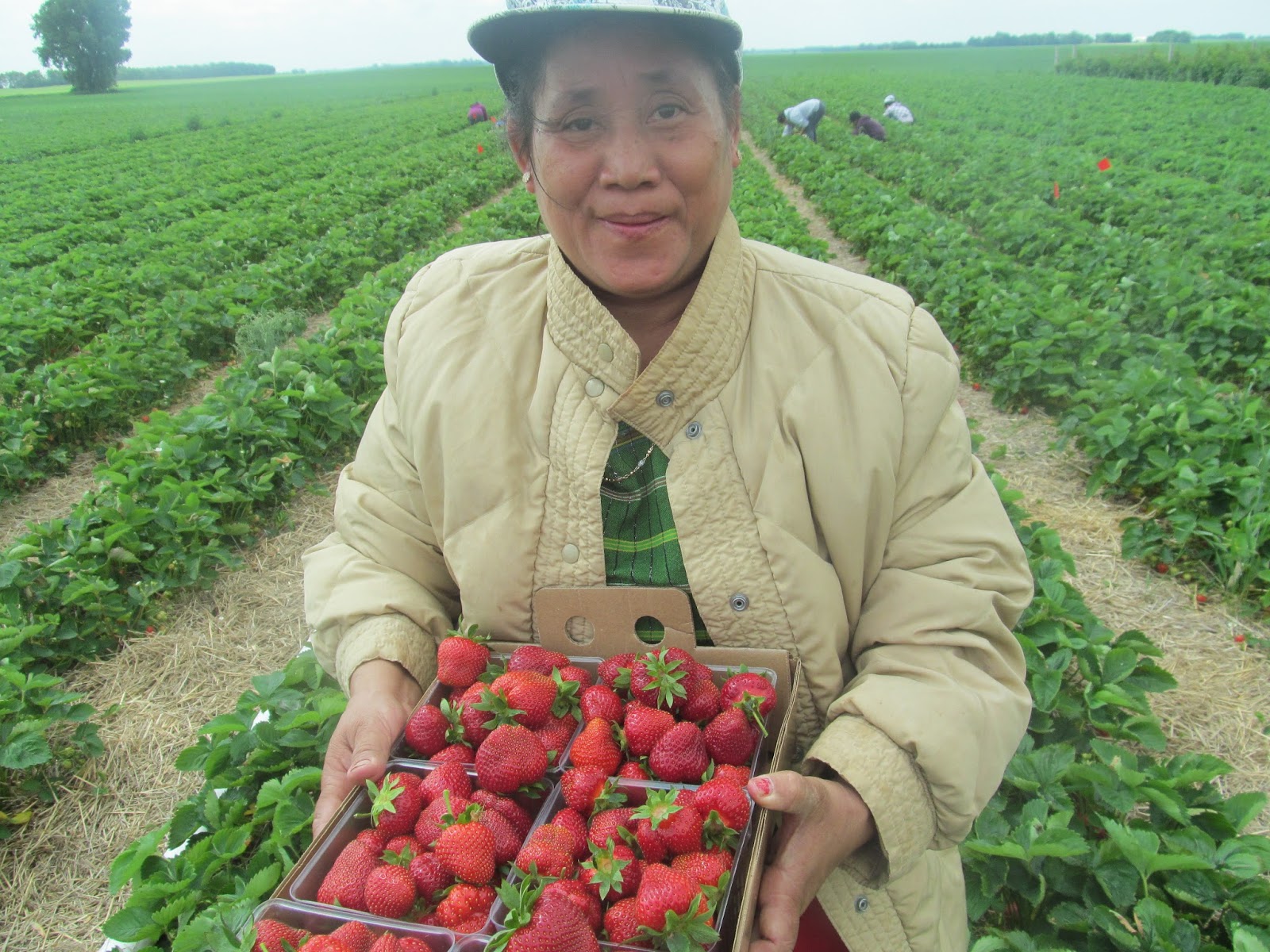 10 Reasons Why We Love the Karen Refugees of Willmar! Brouwer Berries