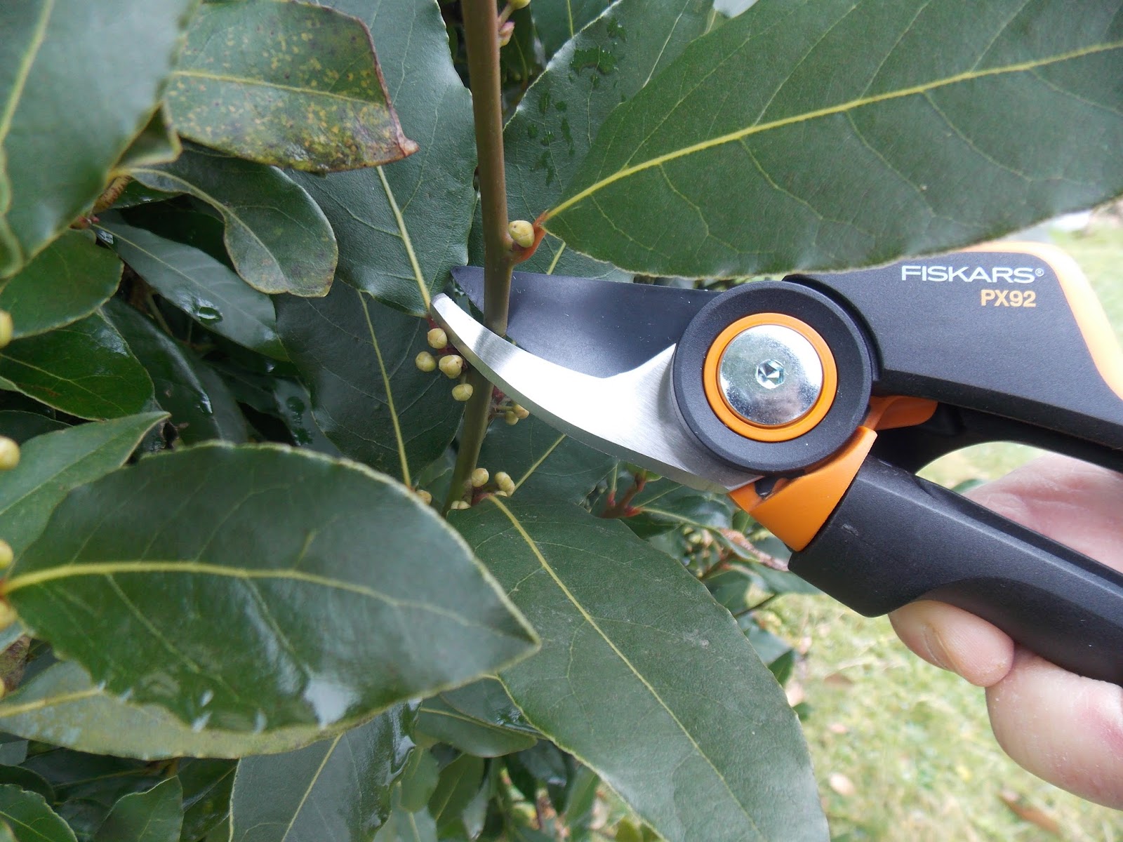 Test du sécateur à crémaillère et à poignée tournante PowerGear X PX92