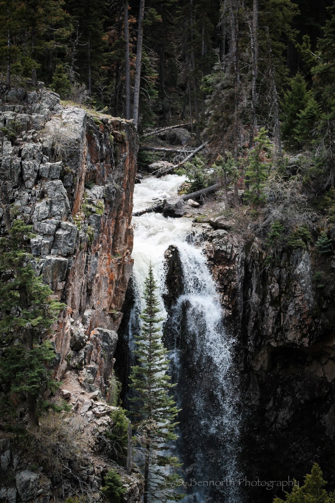 The Bees’ RV Hiking Bullion Falls