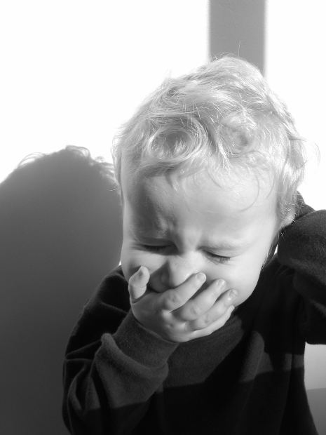 cindy goff blog fake sneezing manners