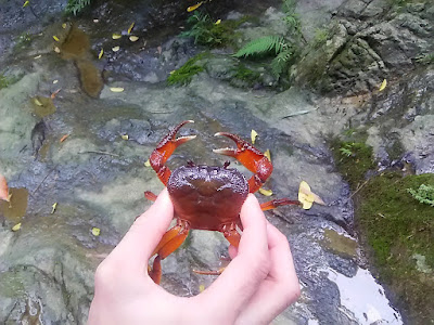 アオヴア(Ao Vua)の沢