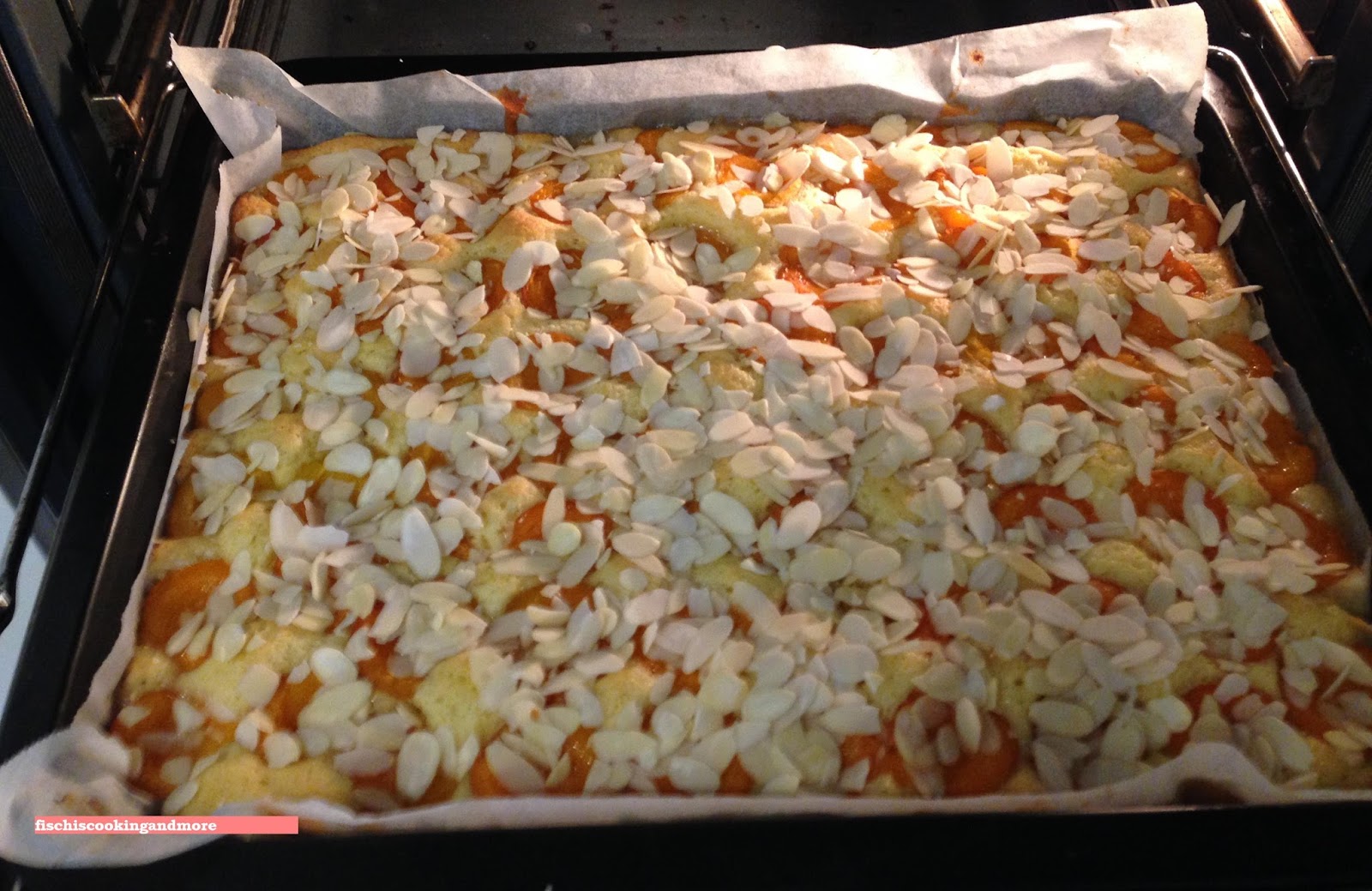 wachauer marillen - blechkuchen