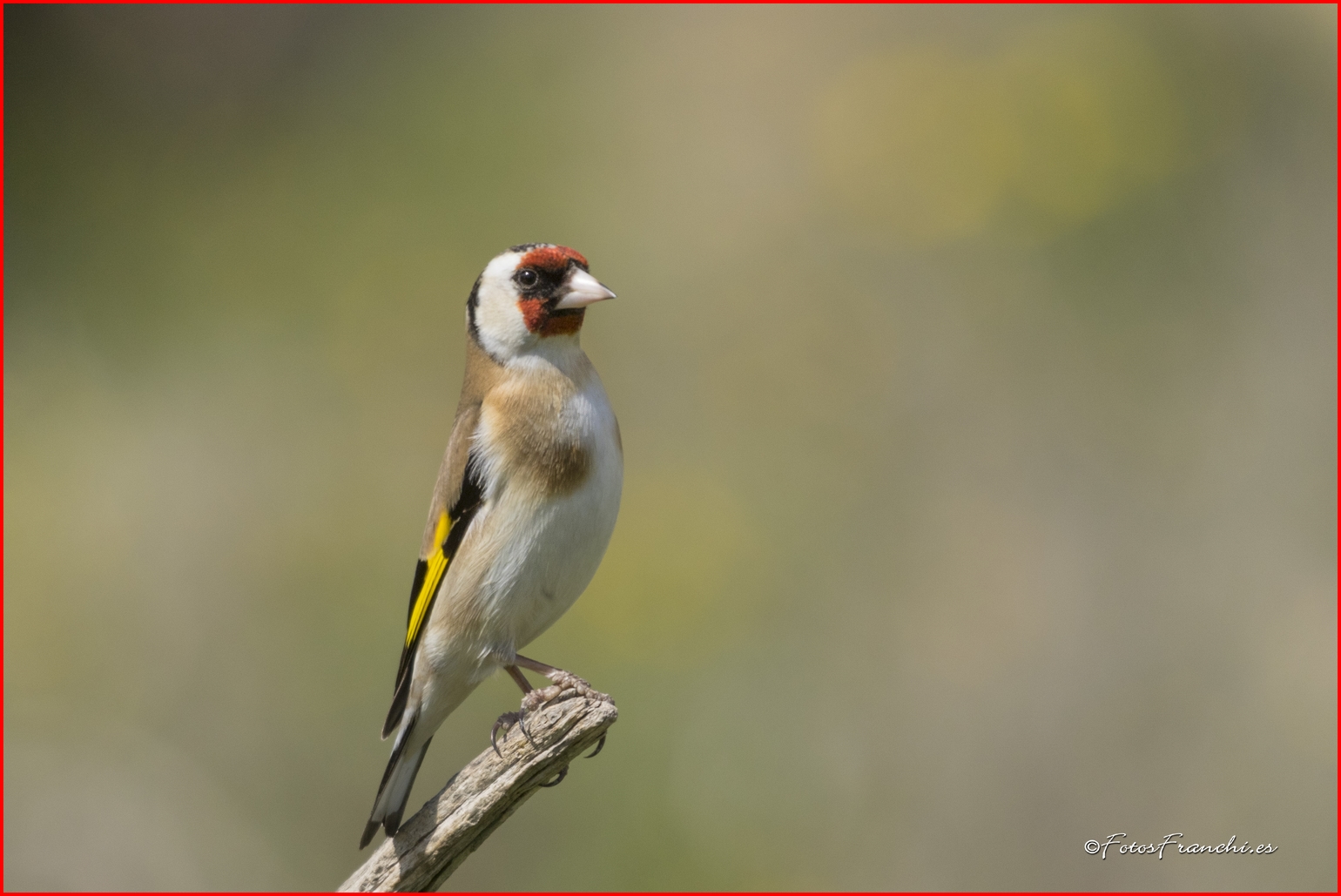 Vive, que no es poco. Disfrutando de un día soleado