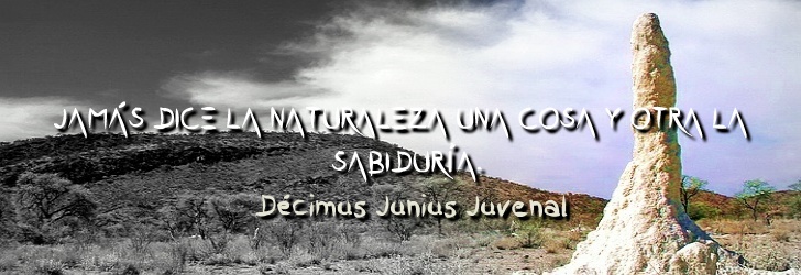 Jamás dice una cosa la naturaleza y otra la sabiduría.