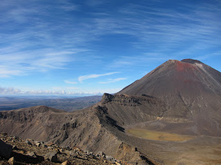 Traveling Solo: Kiwiland
