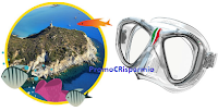Con Asdomar vinci la tua Area Marina Preferita e 250 maschere da immersione Seac Logo Con Asdomar vinci la tua Area Marina Preferita e 250 maschere da immersione Seac