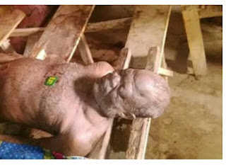Graphic photos - fresh Fulani herdsmen attack in Benue