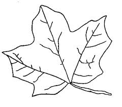 Coloring Pages Leaves