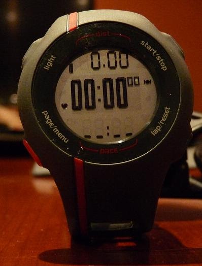 forerunner 125