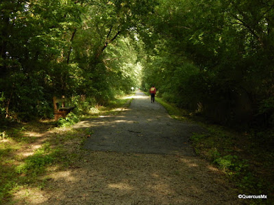 Sugar Creek Trail