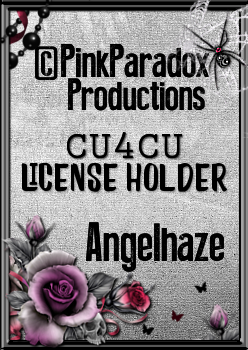 Pink Paradox License